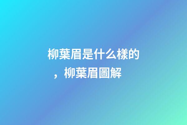 柳葉眉是什么樣的，柳葉眉圖解